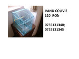 Vand colivie