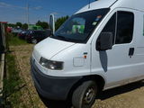 Vand fiat ducato