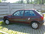 Vand Ford Fiesta