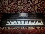 Vand Korg pa60