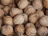 Vand nuci in coaje 10 Lei/kg