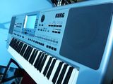 VAND ORGA KORG PA50