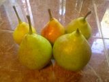 vand pere zemoase
