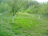 vand teren 2200mp, altitudine 600m