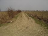 VAND TEREN 26200 MP IN PUCHIENI MOSNENI PRAHOVA