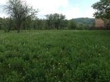 Vand teren 4800mp zona Valeni de Munte comuna-Drajna de sus; sat-Catun