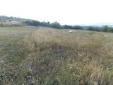 Vand teren,Com.Feleac,jud.Cluj