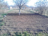 vand teren de 500 mp negociabil