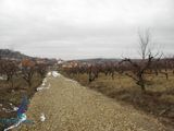 Vand teren intravilan in Oradea, in zona Oncea