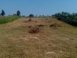 Vand teren intravilan in Vechea 18 km de Cluj spre Chinteni