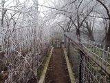vand teren zona piata centrala