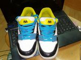 Vand urgend shoes Nike