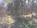 Vand Urgent teren in Cluj Napoca, cart. Grigorescu!!Pret de criza!!