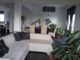 vila Domnesti
