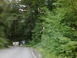 vind 15750 mp in centrul orasului Sovata