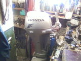 vind outboard honda up date from danube delta