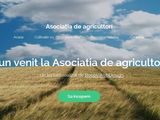 Web Design astazi