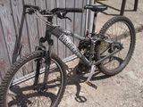 Wheeler buddy 04