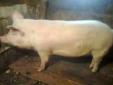 www.publiro.com